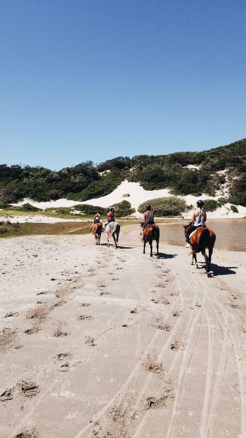 Buccaneers Beach Lodge, Chintsa, South Africa Kültér fotó